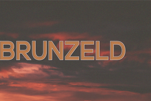Brunzeld: A Font for Business Success
